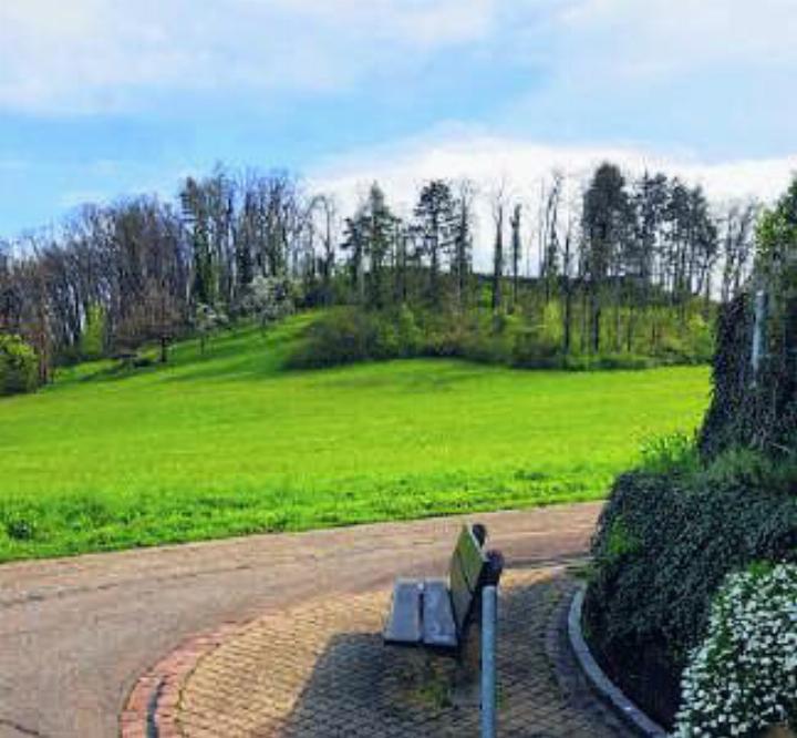 Bänkli beim Grenzweg Ettingen Foto: F. Hindermann