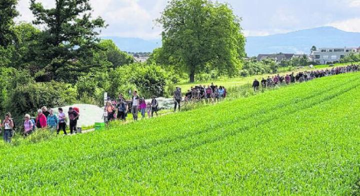 Zahlreiche Wanderfreudige machen sich bei schönstem Auffahrtswetter auf den Weg durch Feld und Wald. Zahlreiche Wanderfreudige machen sich bei schönstem Auffahrtswetter auf den Weg durch Feld und Wald.