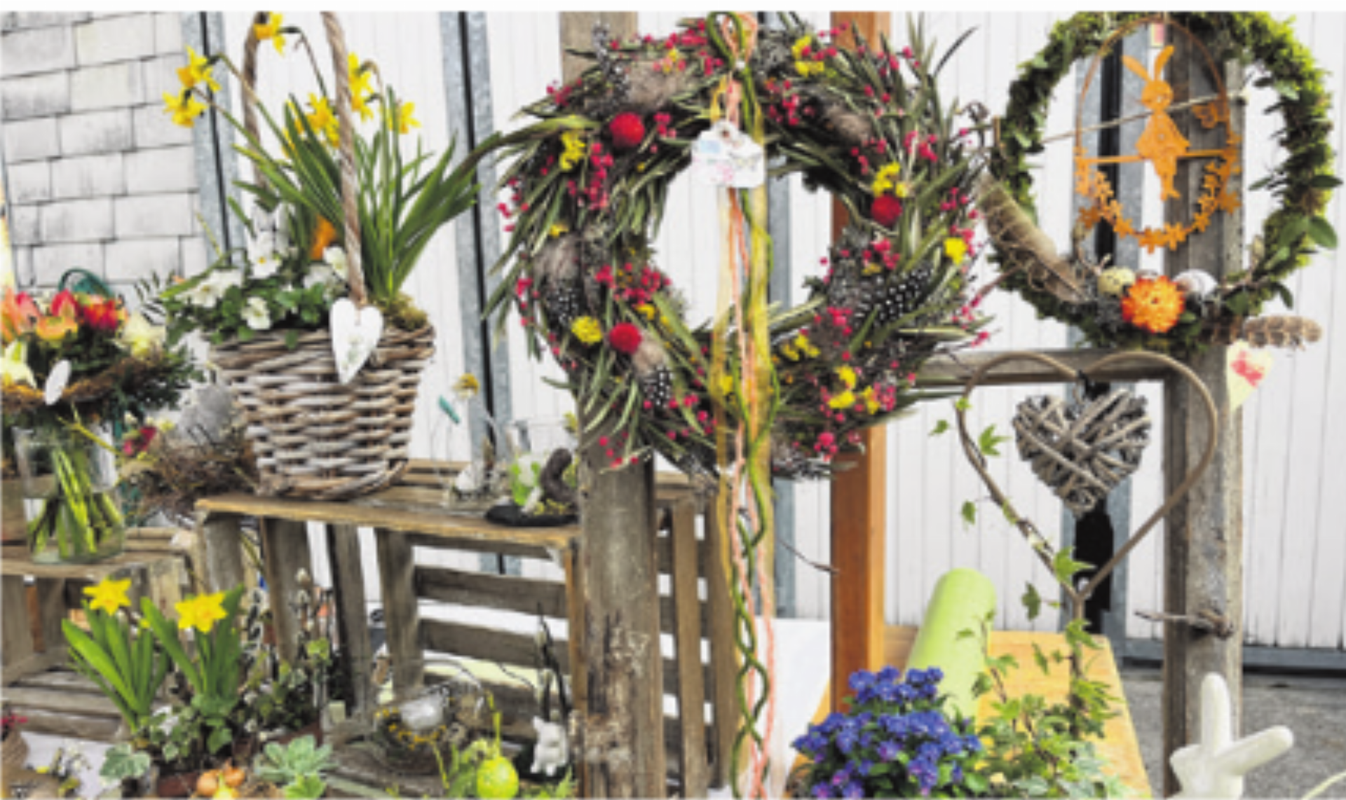 Alles grünt und blüht - Das Bild wird blockiert. – Möglicherweise durch einen aktiven Adblocker.