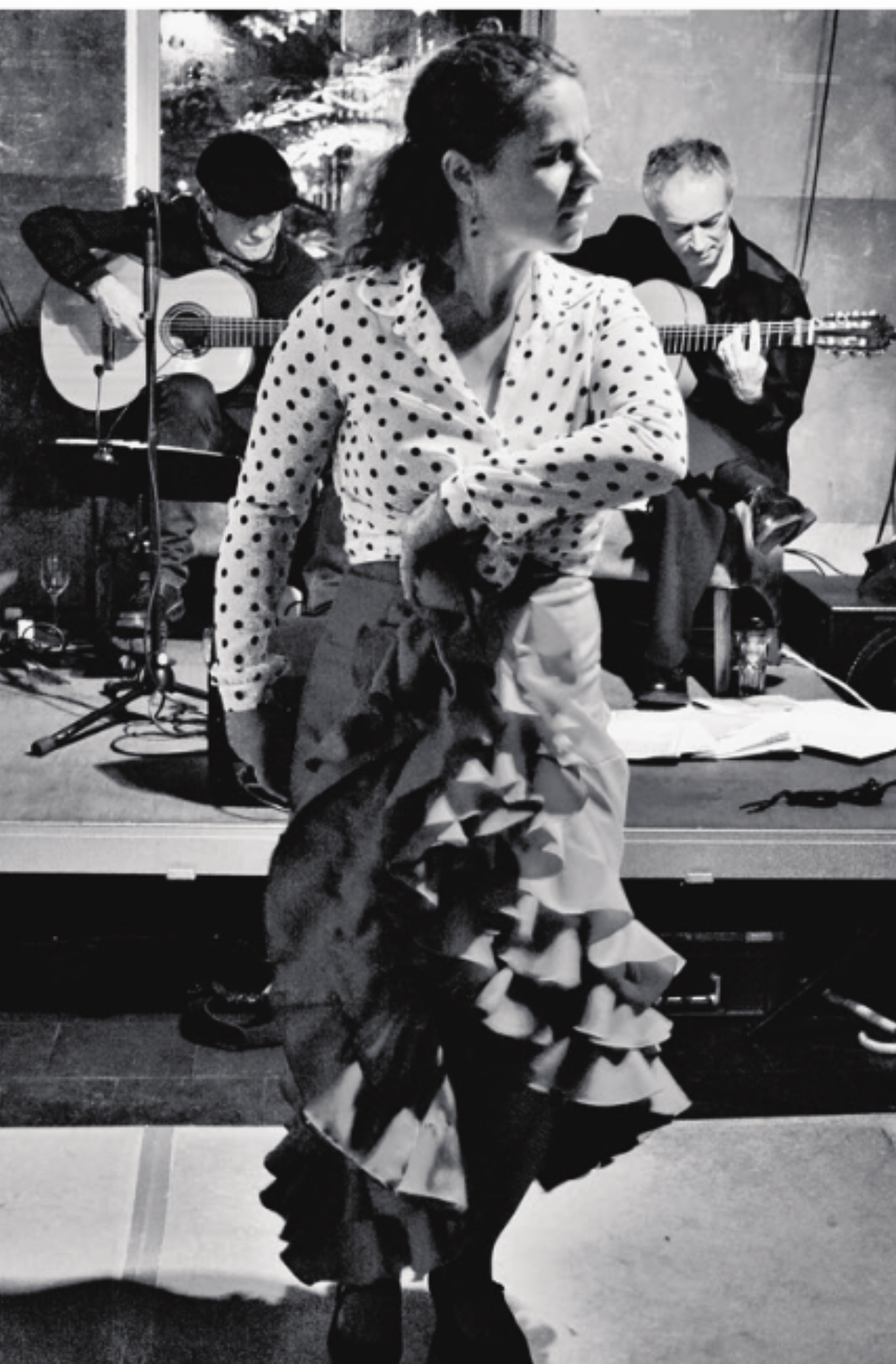 Flamenco Alborada - Das Bild wird blockiert. – Möglicherweise durch einen aktiven Adblocker.