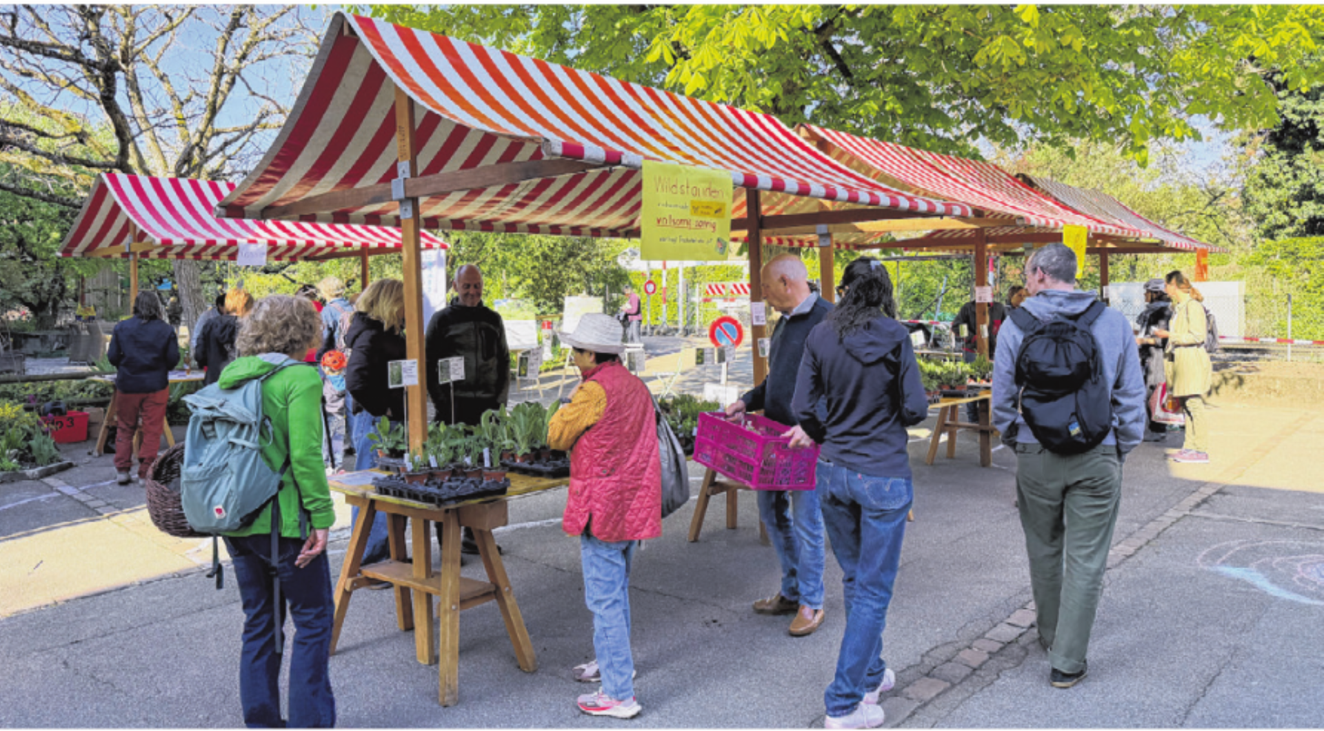 Von der Mojito-Minze bis zum lilafarbenen Thymian - Das Bild wird blockiert. – Möglicherweise durch einen aktiven Adblocker.