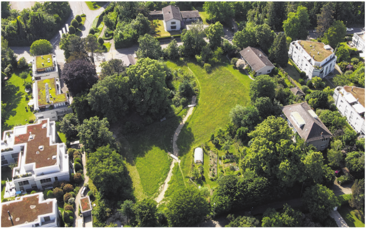 Die Erlisacker-Matte als naturnah gestalteter Erholungs- und Lebensraum. Fotos: zVg Die Erlisacker-Matte als naturnah gestalteter Erholungs- und Lebensraum. Fotos: zVg