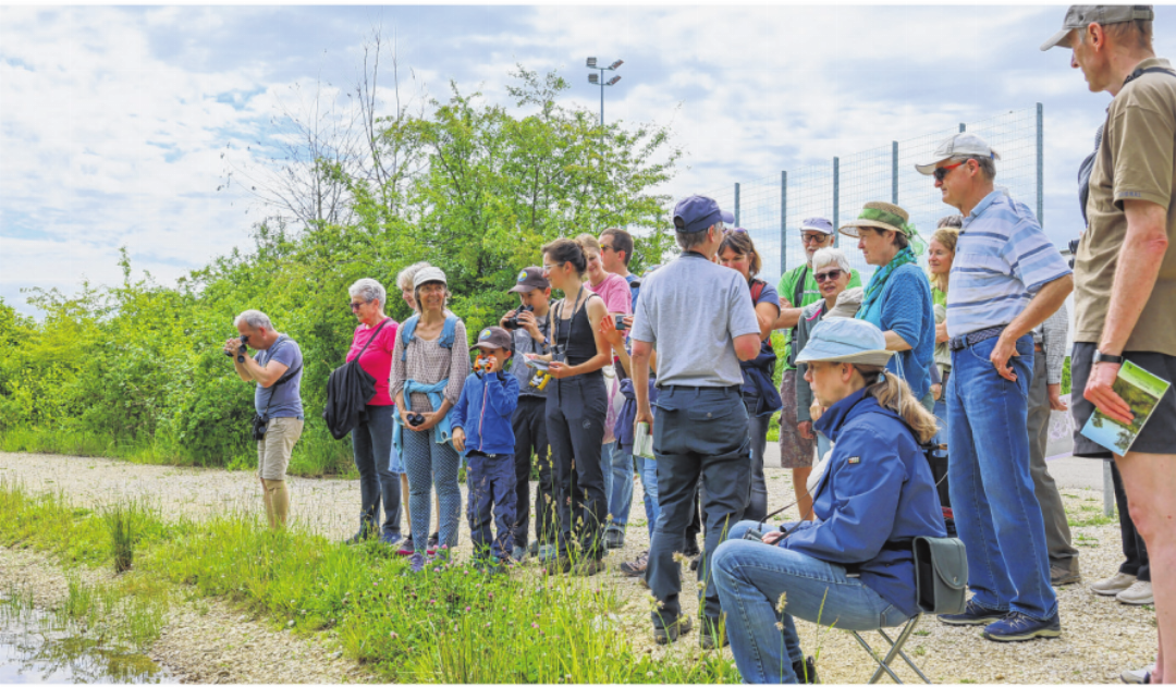 Fasziniert verfolgten die Teilnehmenden die Libellenbeobachtungen in den Toggessenmatten. Fotos: Anette von Matt/Jørgen Nielsen Fasziniert verfolgten die Teilnehmenden die Libellenbeobachtungen in den Toggessenmatten. Fotos: Anette von Matt/Jørgen Nielsen