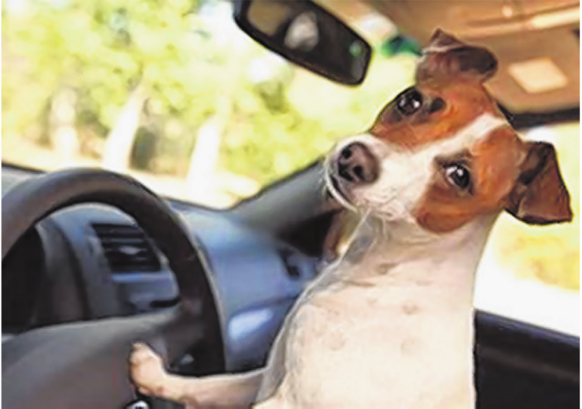 Kinder und Tiere bei Hitze nie im Auto lassen - Das Bild wird blockiert. – Möglicherweise durch einen aktiven Adblocker.