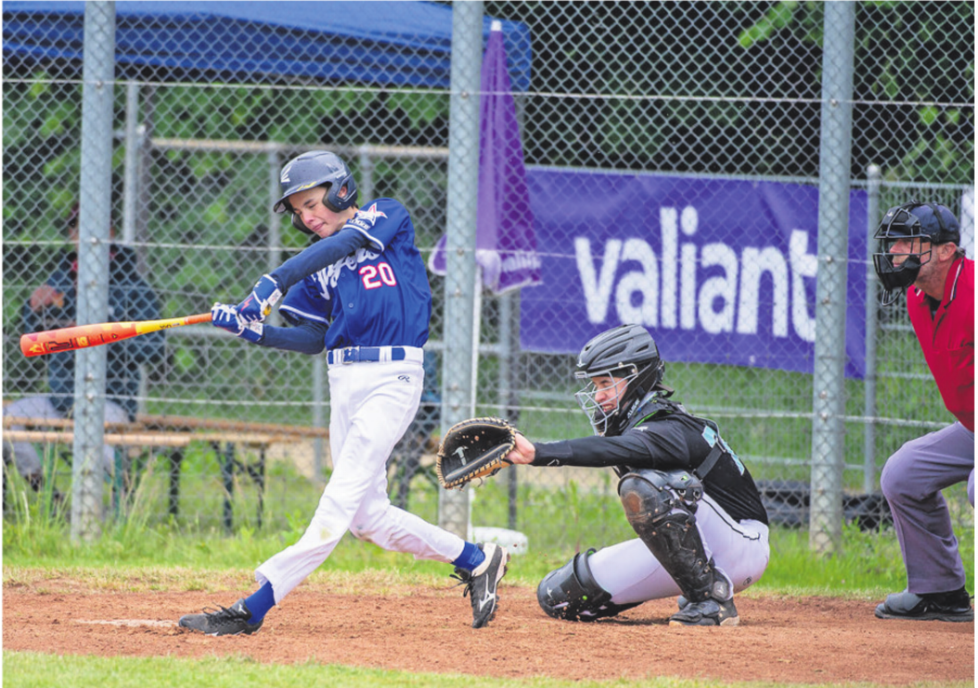 Flyers-Talente am Little League Seniors Turnier in Novara, Italien - Das Bild wird blockiert. – Möglicherweise durch einen aktiven Adblocker.