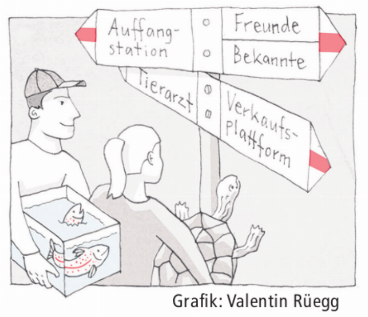 Grafik: Valentin Rüegg