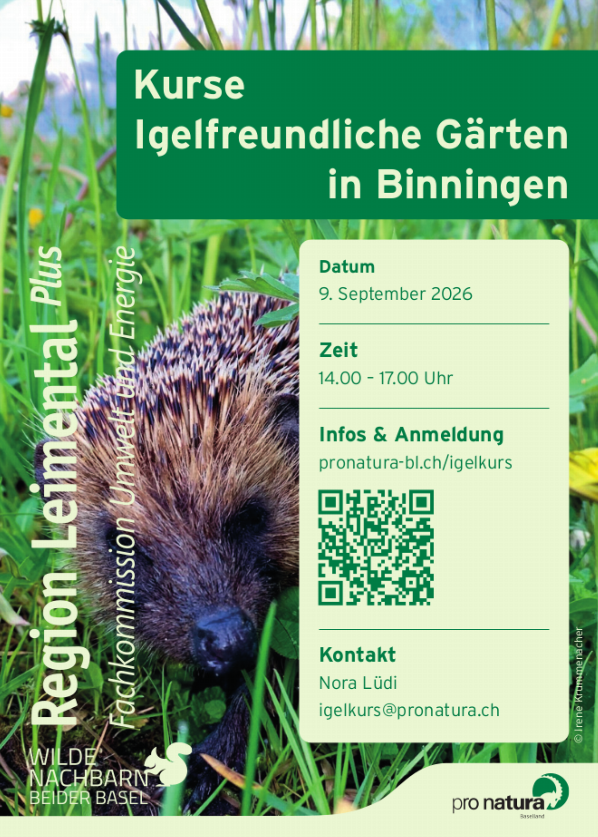 Kostenloser Kurs «Igelfreundliche Gärten» - Das Bild wird blockiert. – Möglicherweise durch einen aktiven Adblocker.