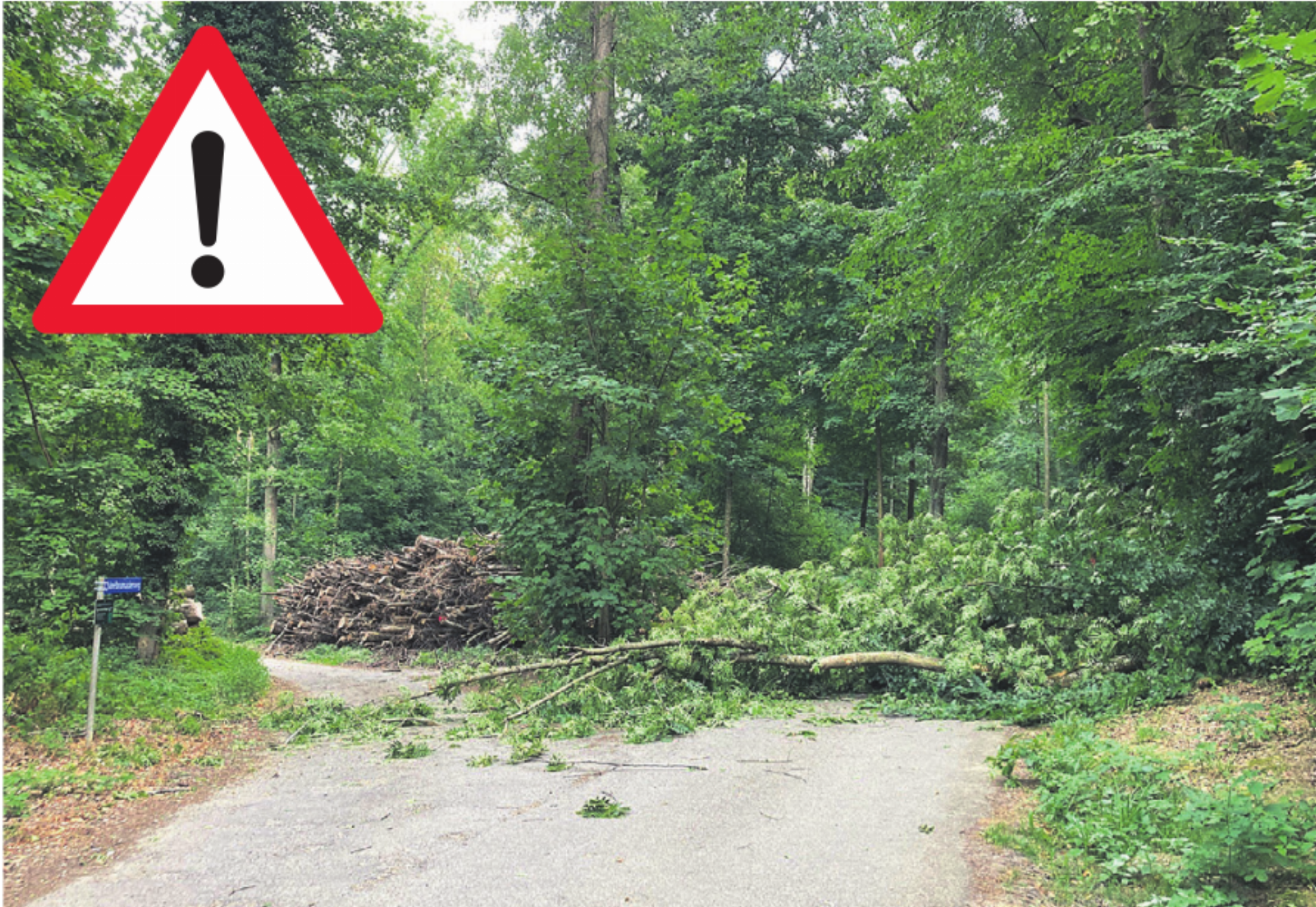 Risiko für Astabbrüche im Wald - Das Bild wird blockiert. – Möglicherweise durch einen aktiven Adblocker.
