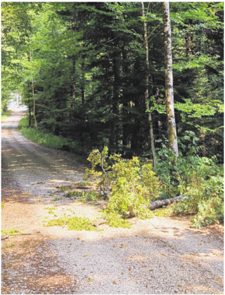 Foto: Rüchiweg, 30. Juli 2026