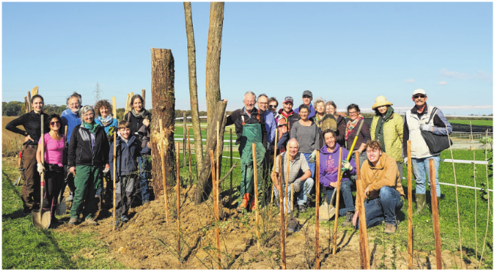 NV Oberwil, Gemeinde Oberwil und Mernatur Hecke mit stehenden Totholz. Foto: Katrin Blassmann