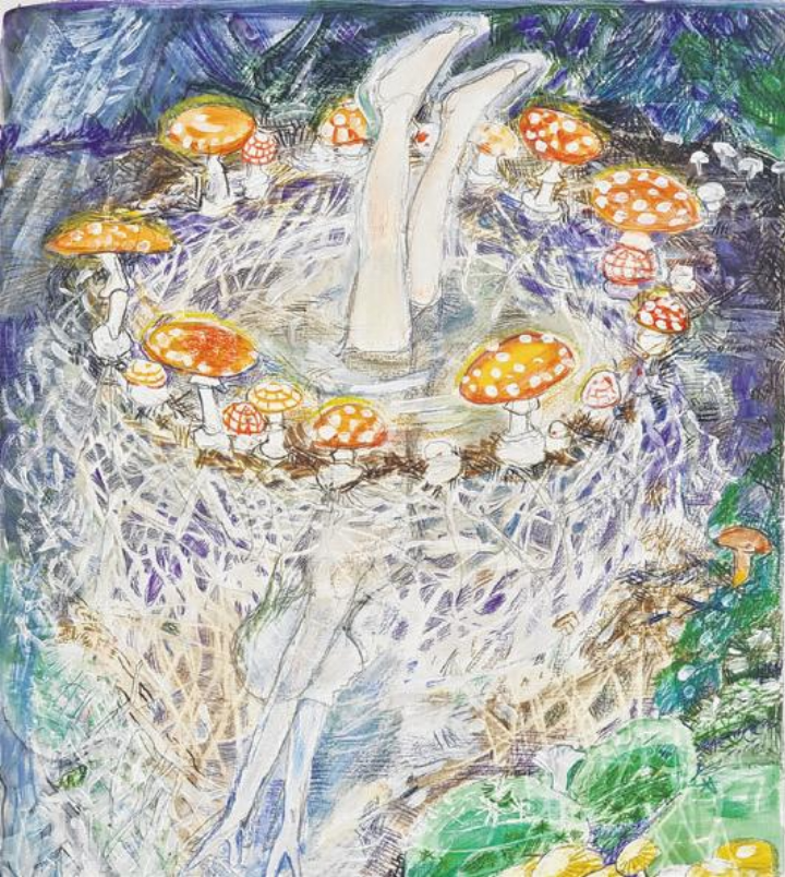 Eintauchen ins Reich der Pilze. Bild: zVg, Nicoletta Stalder