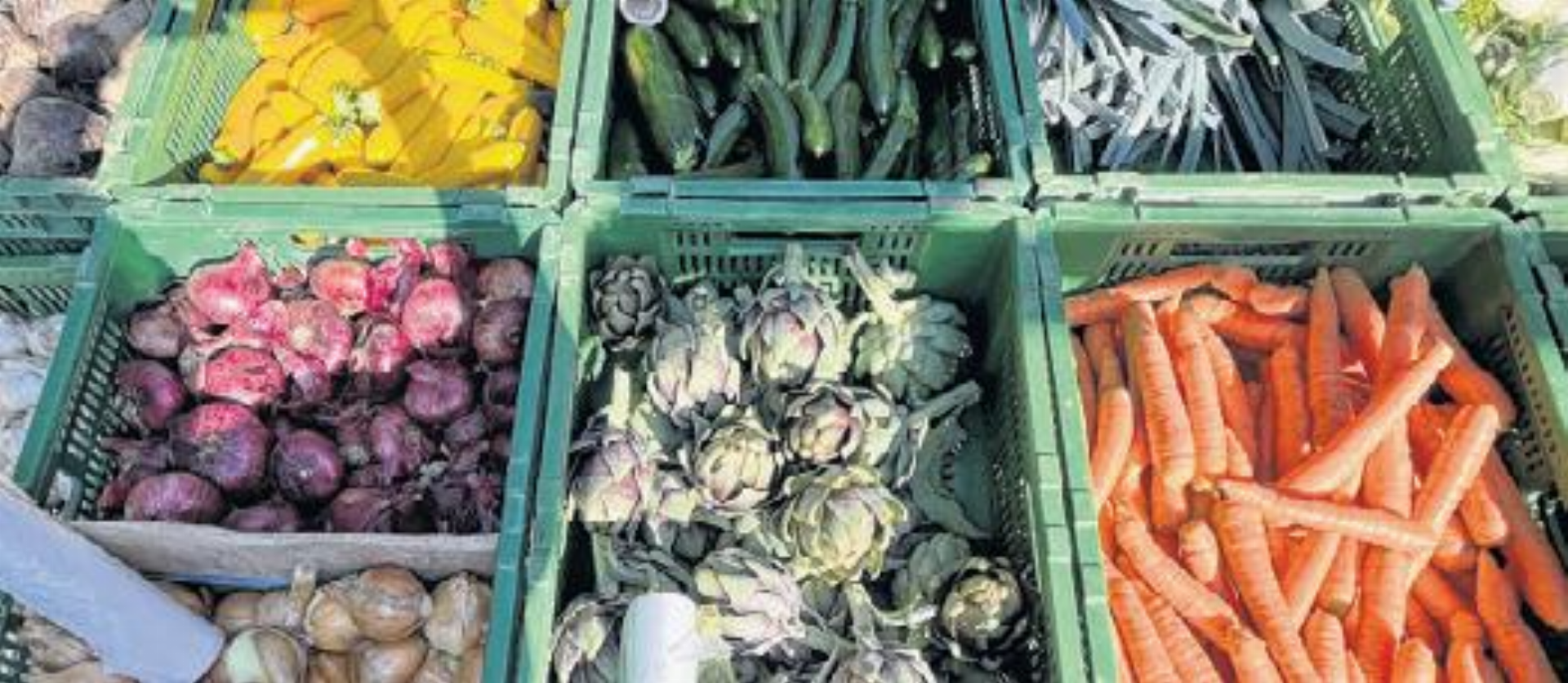 Vielseitiger Herbstmarkt - Das Bild wird blockiert. – Möglicherweise durch einen aktiven Adblocker.