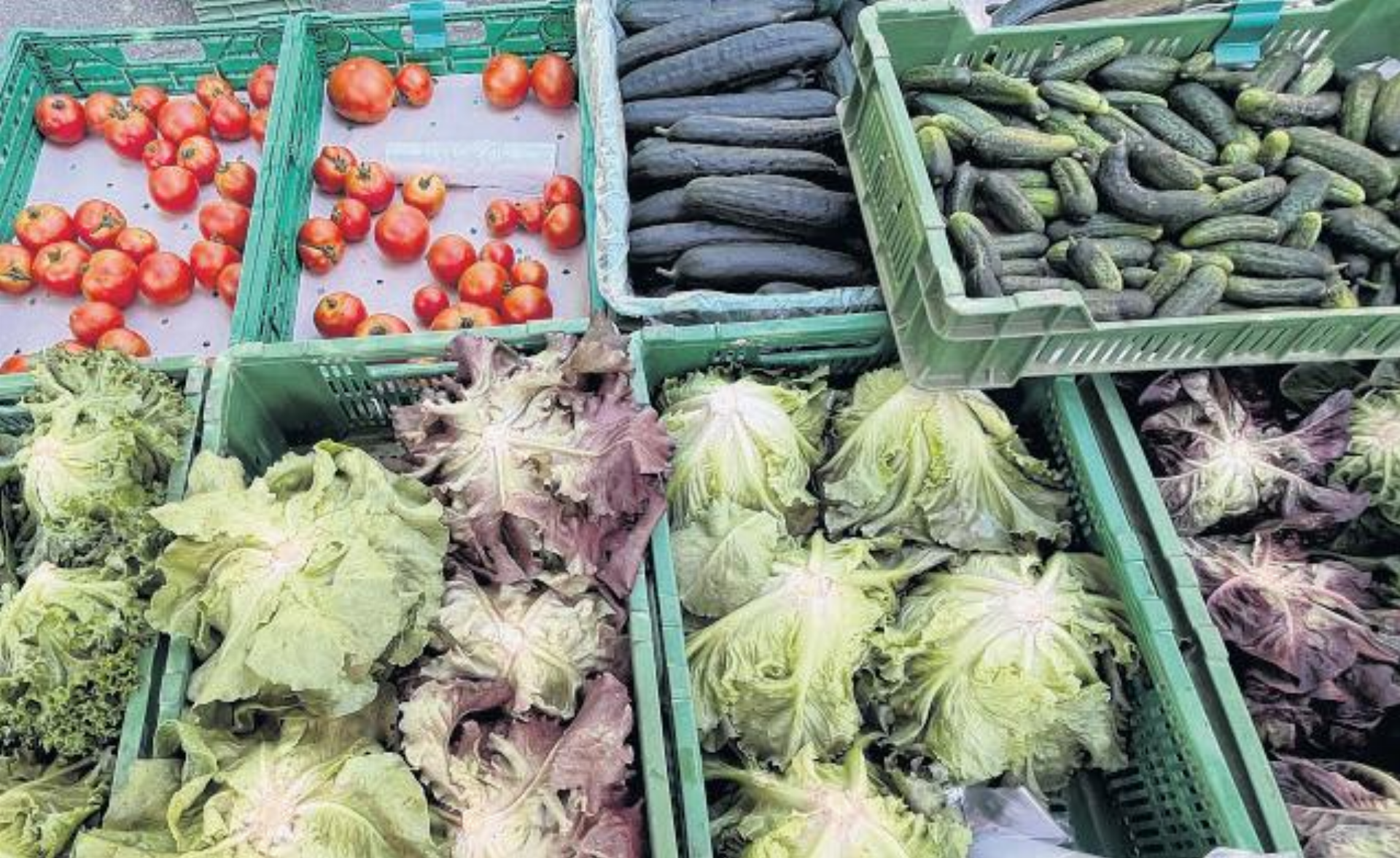 Brot, Käse, Fische, Obst und Gemüse - Das Bild wird blockiert. – Möglicherweise durch einen aktiven Adblocker.